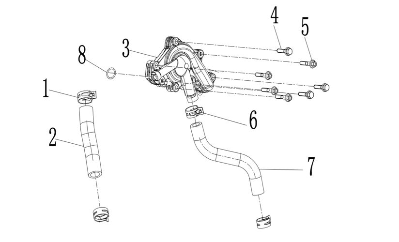 BOLT M6?25