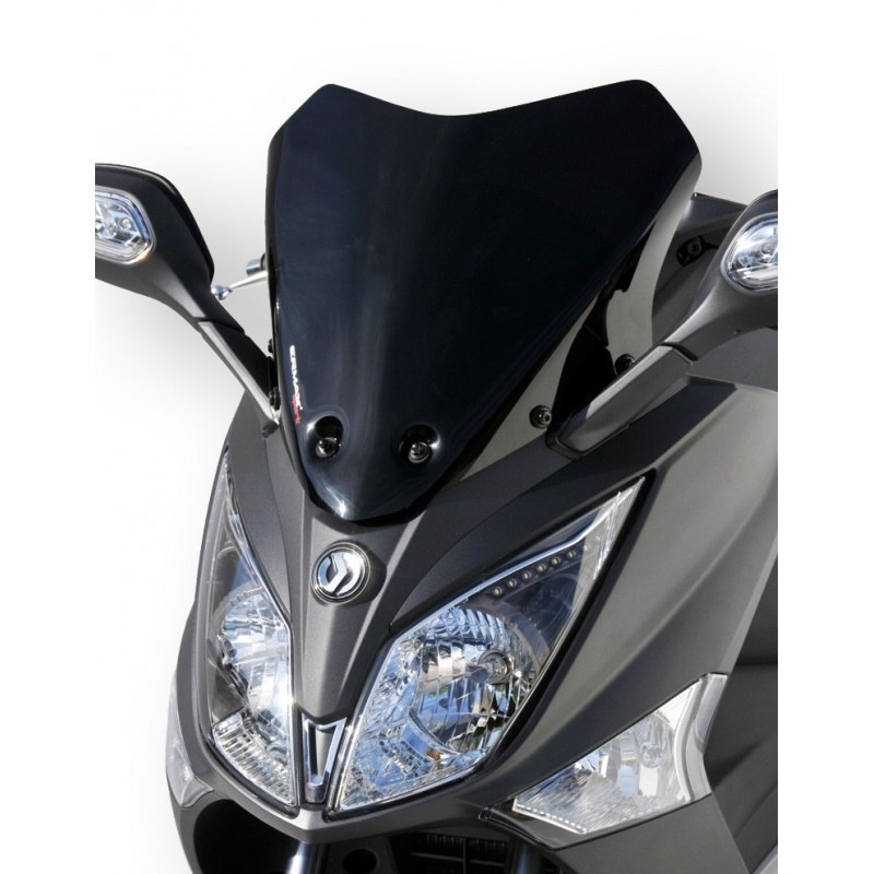 Ζελατίνα GTS 300i F4 Ermax Hypersport 38cm 2013-2017 Σκούρο Φιμέ